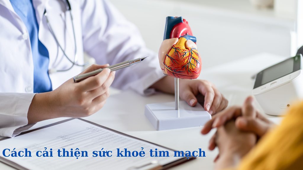 Cách cải thiện sức khoẻ tim mạch