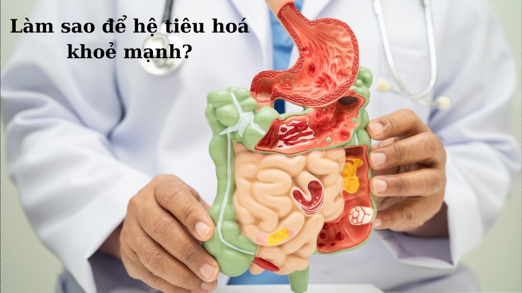 Làm sao để hệ tiêu hoá khoẻ mạnh?