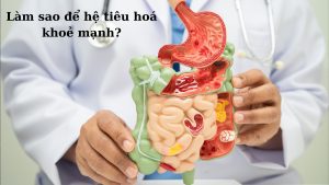 Làm sao để hệ tiêu hoá khoẻ mạnh?