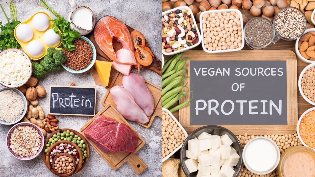 Những loại thực phẩm giàu protein cho phụ nữ có thai