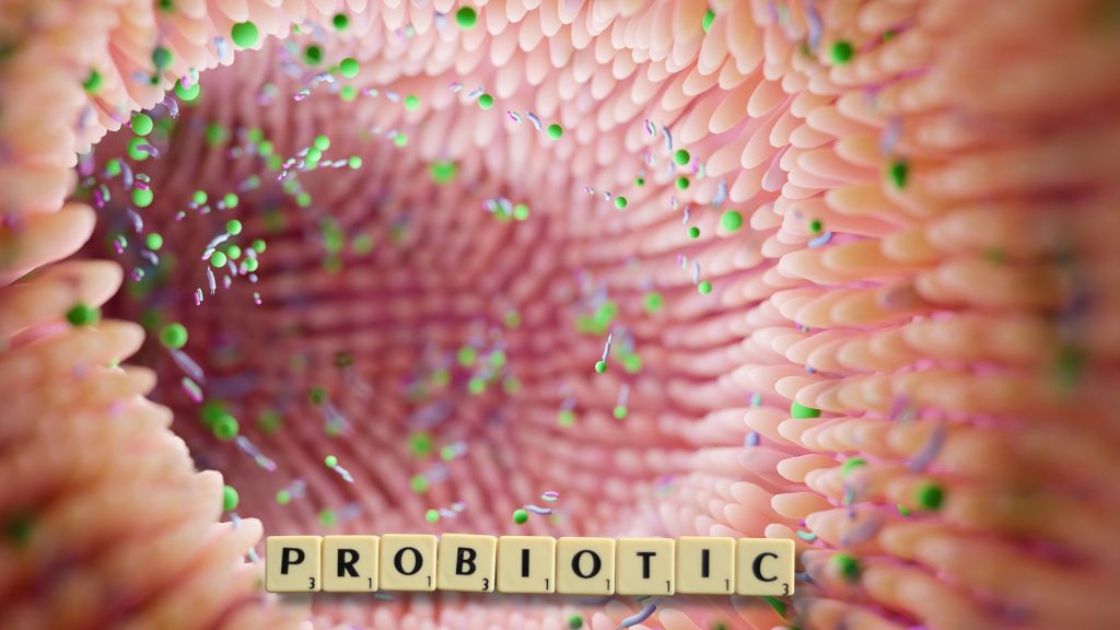 Probiotic hệ vi sinh đường ruột