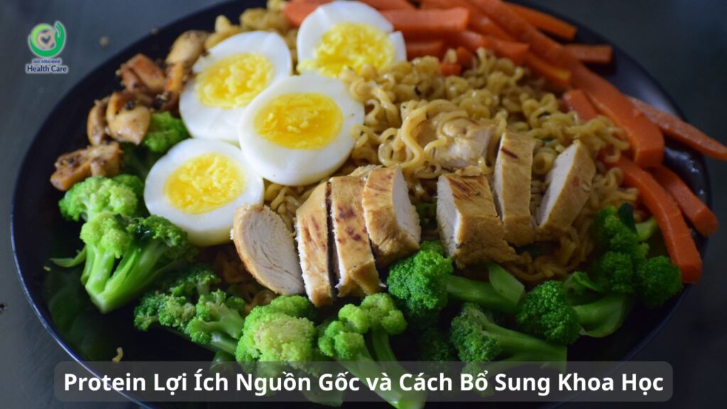 Protein Lợi Ích Nguồn Gốc và Cách Bổ Sung Khoa Học