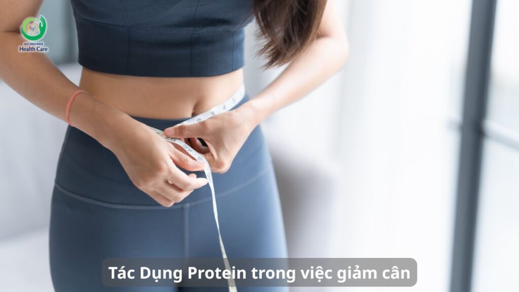 Tác Dụng Protein trong việc giảm cân
