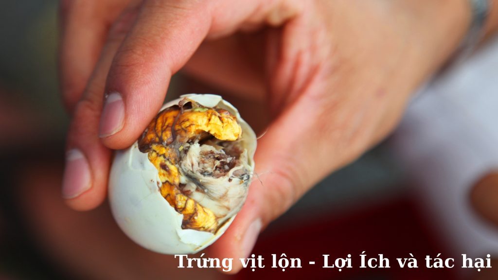 Trứng Vịt Lộn Phân Tích Khoa Học Toàn Diện Về Lợi Ích và Rủi Ro